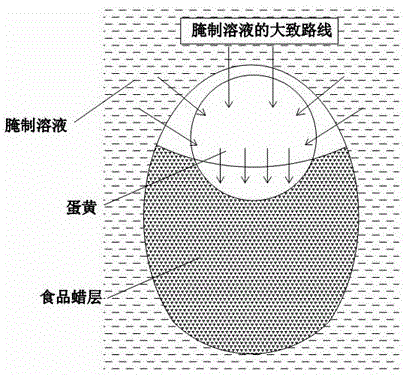 一种腌蛋定向腌制工艺的制作方法