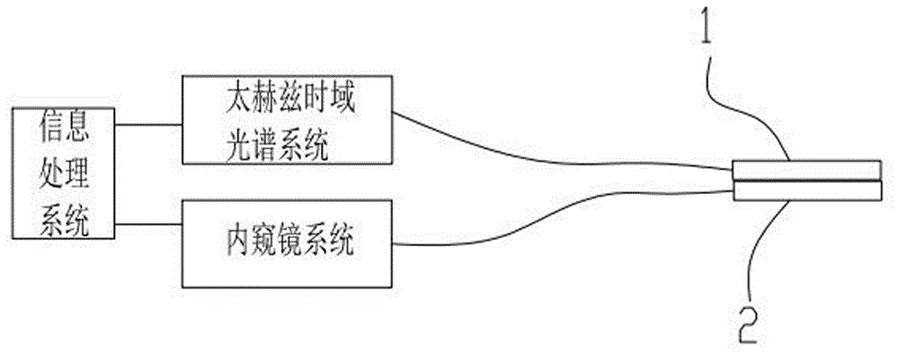 检测体内毒品的装置的制作方法