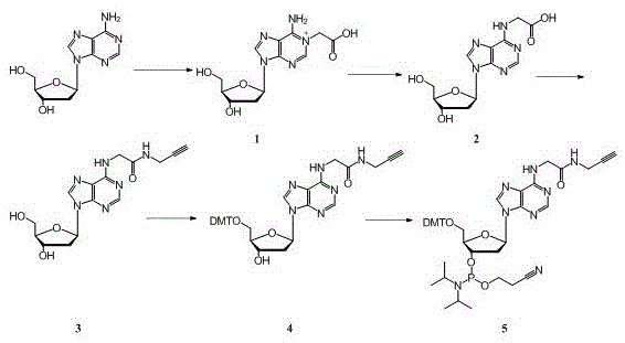一种炔基修饰的脱氧腺苷亚磷酰胺单体及其制备方法与流程