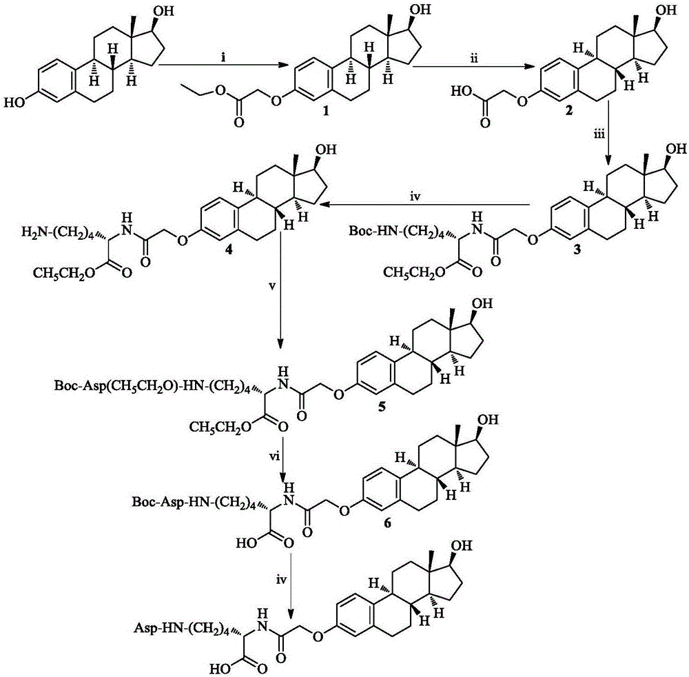 Nω-Asp-Nα-(17β-雌二醇-3-乙酰基)-Lys,其制备,活性和应用的制作方法