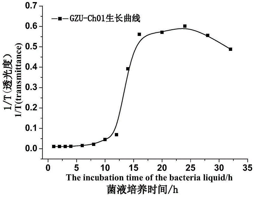 一种金黄杆菌属菌株及其应用的制作方法