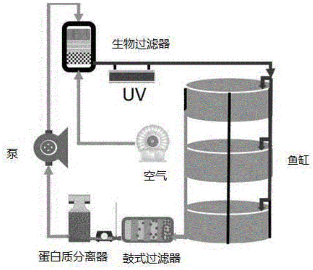 生产抗体片段的方法与流程