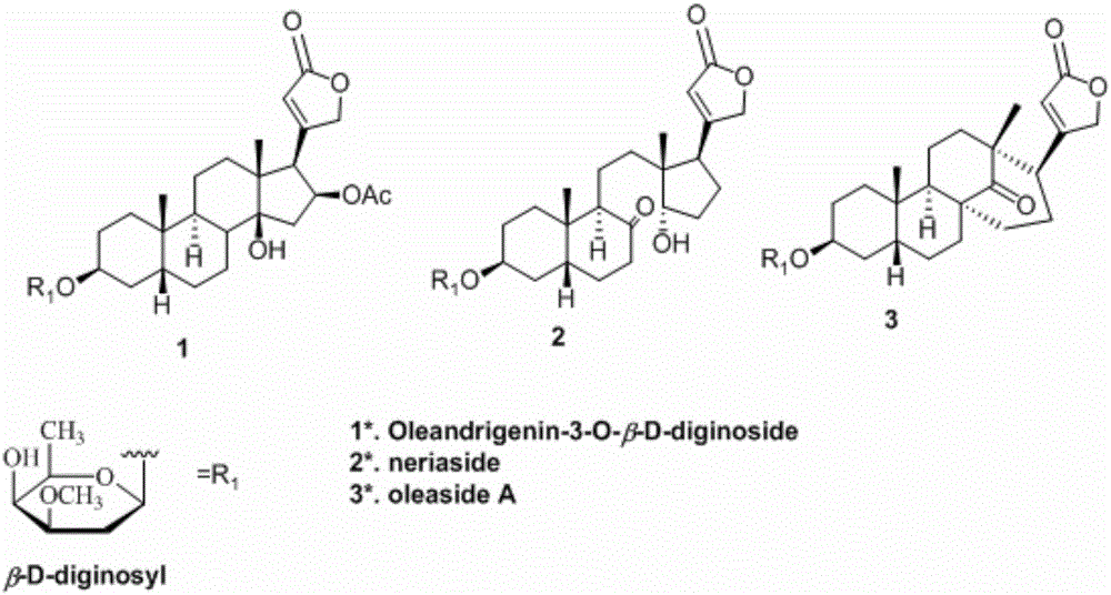 强心苷类化合物及其制备方法与应用与流程