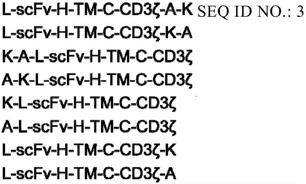 具有自杀基因开关的靶向CD47的工程化免疫细胞的制作方法