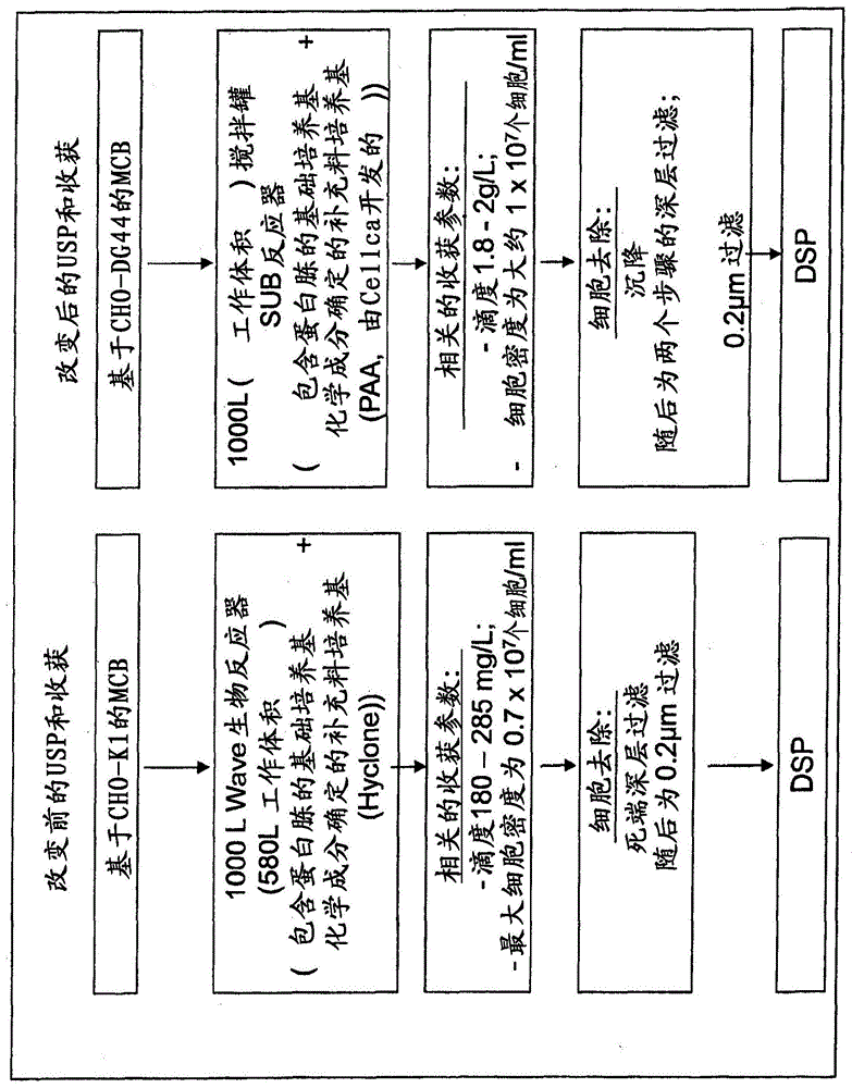 包含CD95-Fc同种型的混合物的组合物的制作方法