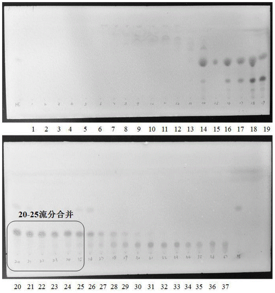 阿魏菇中麦角甾醇过氧化物的提取方法及应用与流程