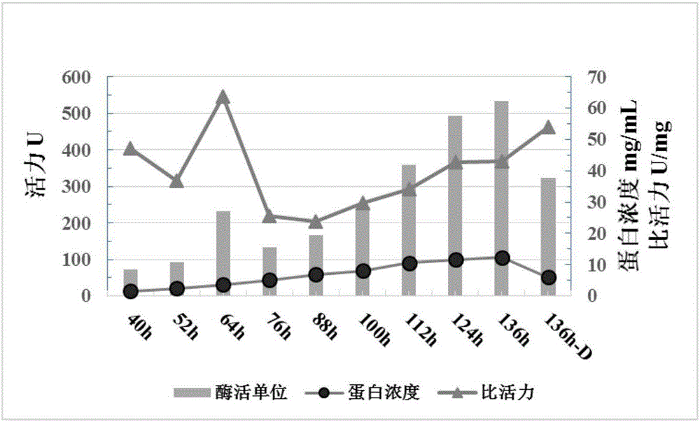 新型的甘油单-二酰酯脂肪酶的制作方法