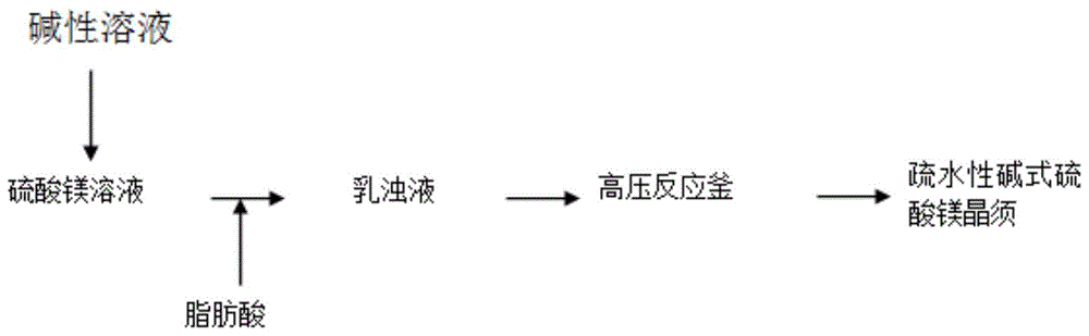 一种原位疏水改性碱式硫酸镁晶须的制备方法与流程