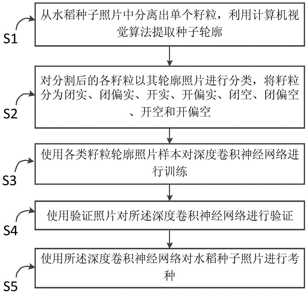 一种基于深度学习卷积神经网络的水稻考种方法与流程