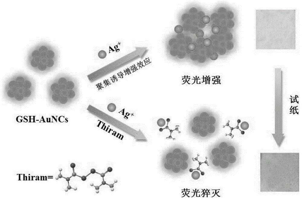 基于谷胱甘肽金簇和银离子传感系统的农药秋兰姆浓度检测试纸及其制备方法与流程