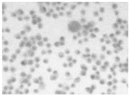 一种体液样本中细胞PD-L1蛋白表达的检测方法及其专用试剂与流程