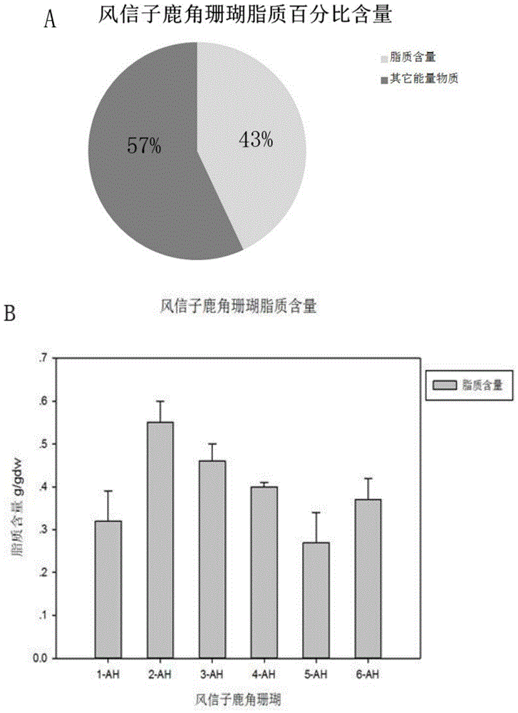 一种珊瑚脂质的提取方法与流程