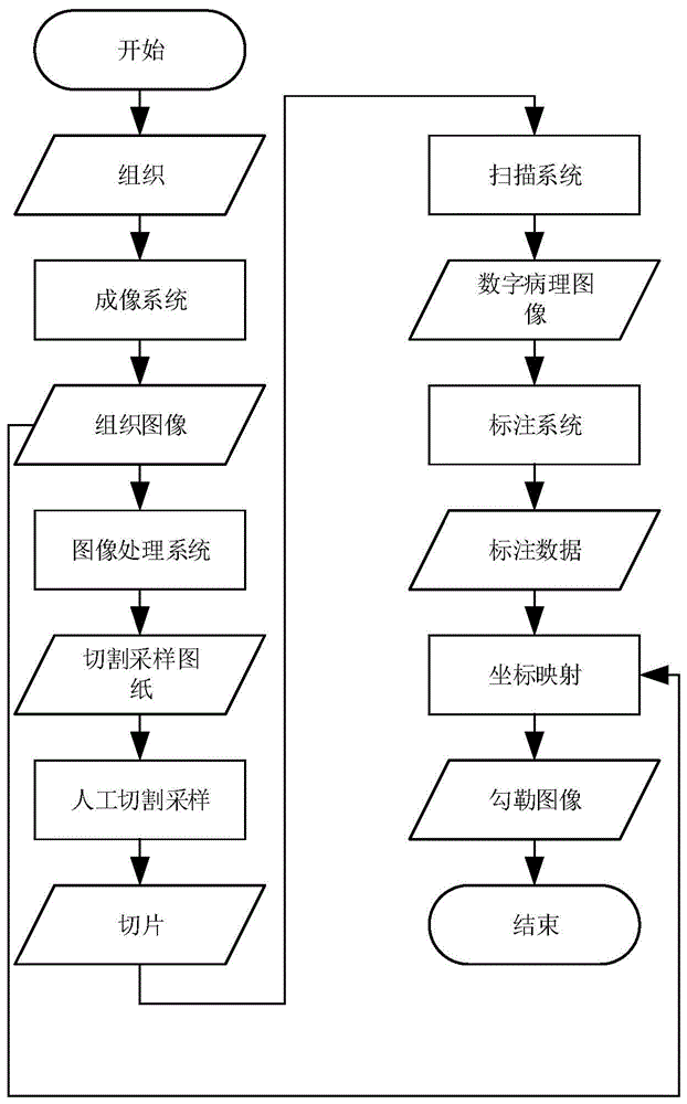 组织病变区域勾勒方法及系统与流程