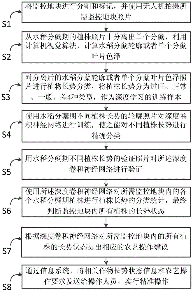 一种水稻分蘖期长势智慧监控调节方法与流程