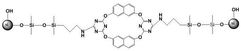 四氧萘杂杯[2]芳烃[2]三嗪键合硅胶固定相及其制备方法和用途与流程