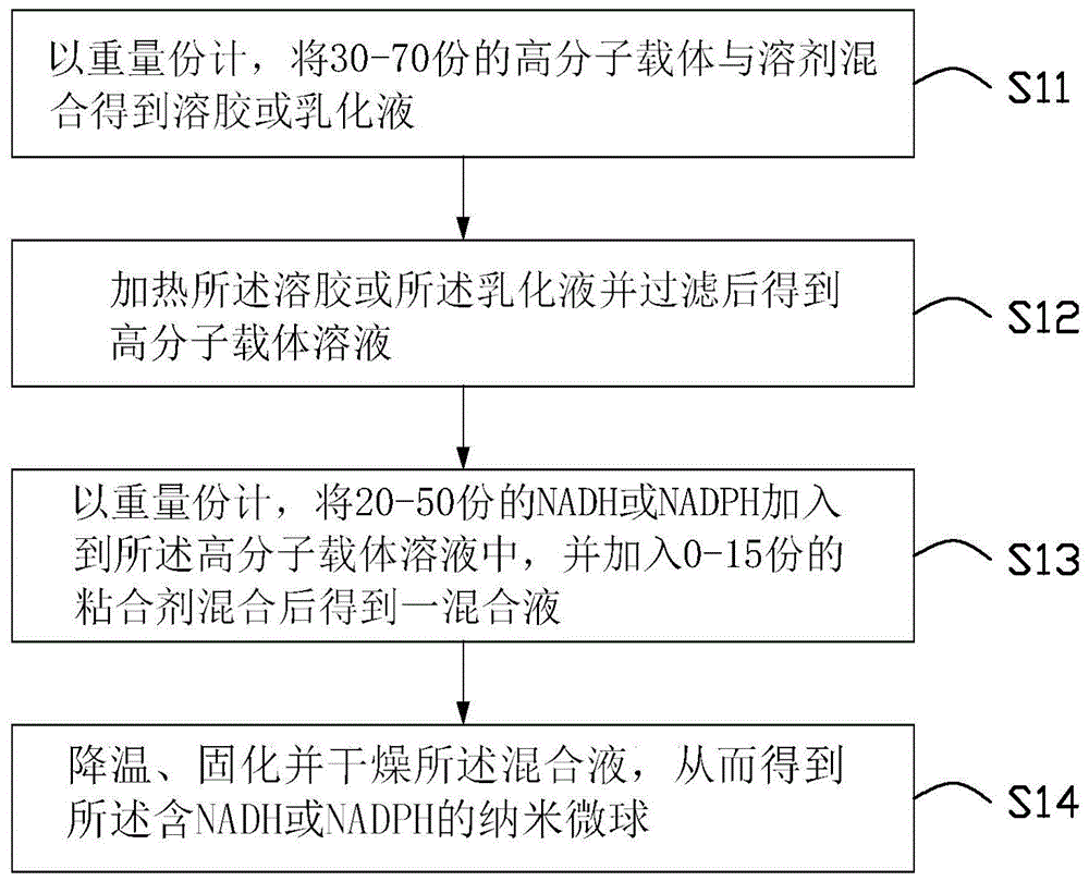 含NADH或NADPH的纳米微球及其制备方法与应用与流程