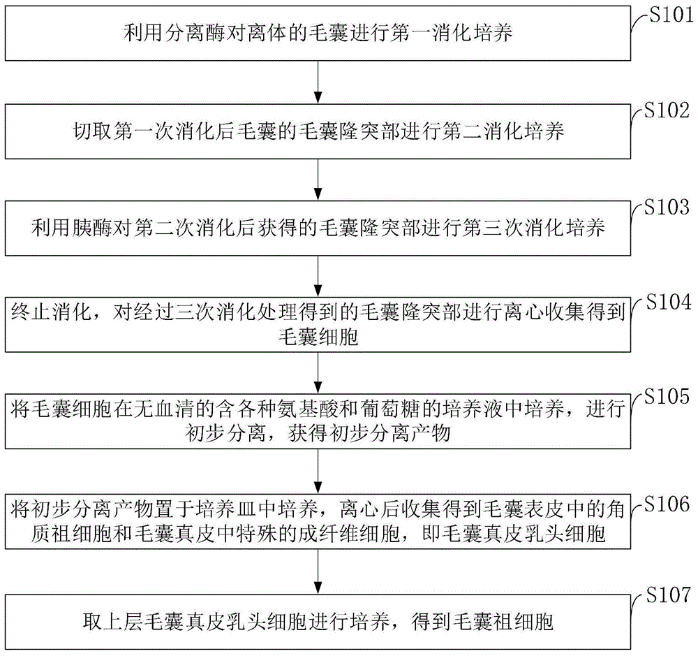 一种毛囊祖细胞的注射药剂的制作方法