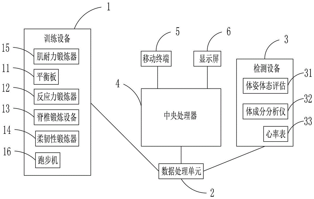 一种成人体适能锻炼评估系统的制作方法