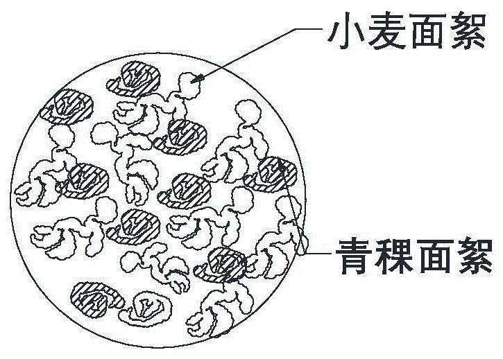 青稞面条的加工工艺的制作方法