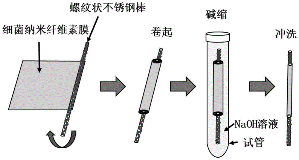 一种内表面纹路修饰的细菌纳米纤维素基管及其制备方法和应用与流程