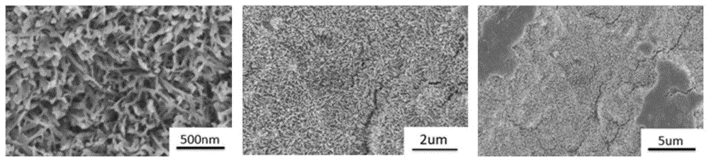 一种钛种植体表面组装纳米级羟基磷灰石的方法与流程