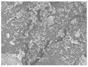 高纯球形氢氧化铝和氧化铝纳米粉体的制备方法与流程