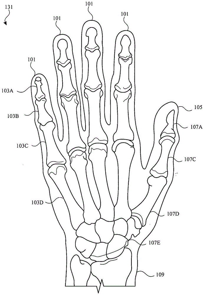 能够测量单个指骨和拇指骨的移动的手套的制作方法