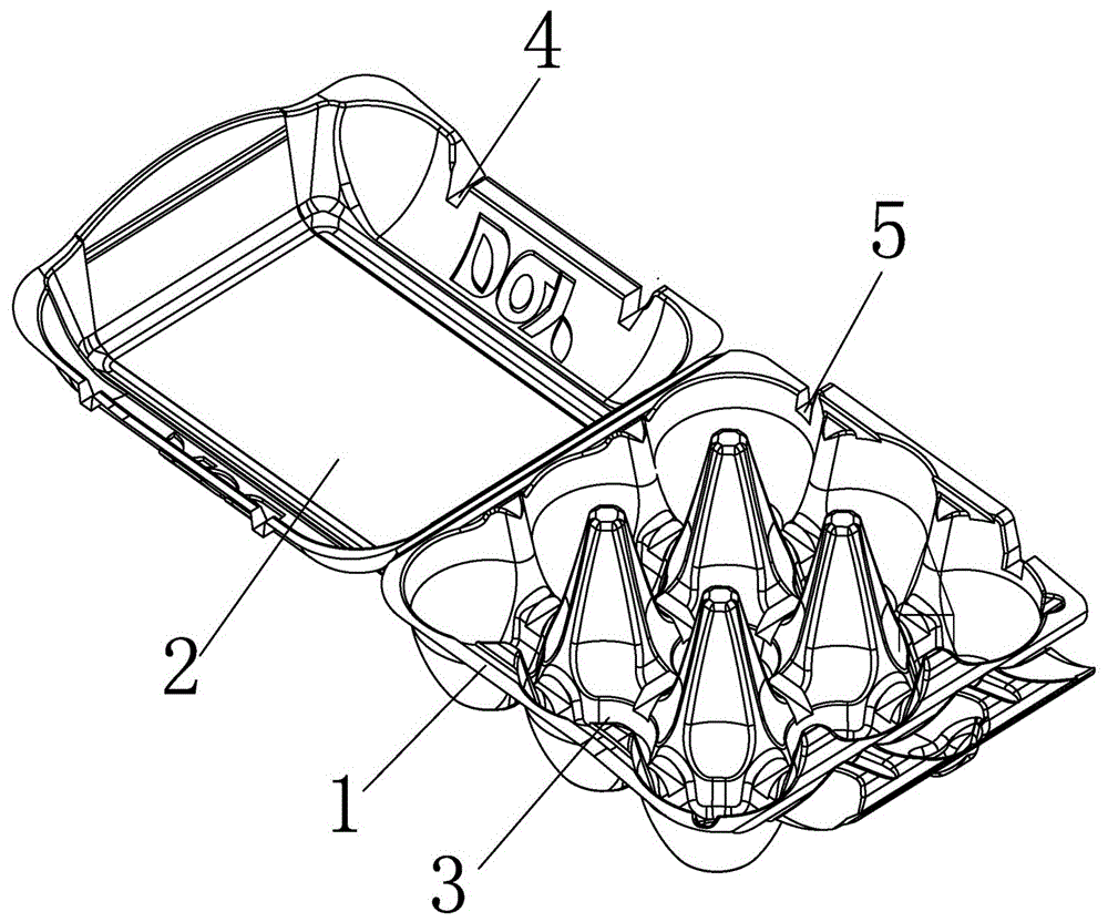 一种可掰开的蛋盒的制作方法