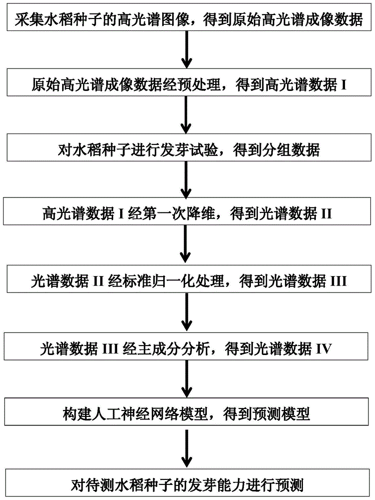 一种基于高光谱成像和人工神经网络的水稻种子发芽能力的检测方法与流程