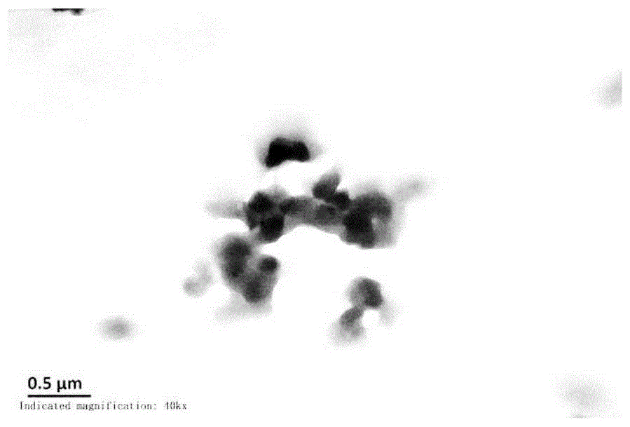 一种阿霉素无载体纳米药物的制备及其应用的制作方法