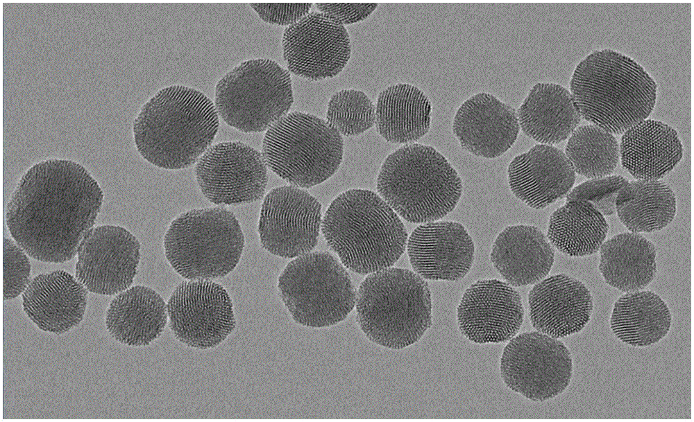 一种海绵状bFGF-PLGA微球药物缓释载体的制备方法与流程