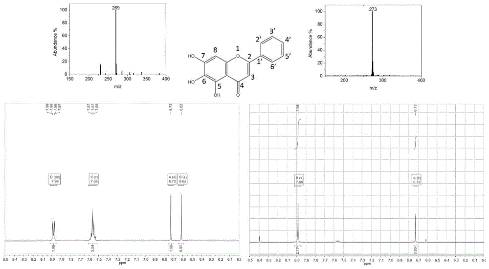 氘代黄酮类化合物及其制备方法与流程