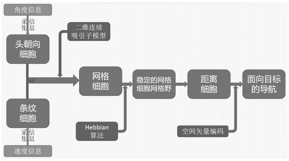 一种基于鼠脑海马网格细胞重构的仿生导航方法与流程