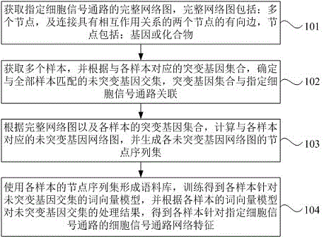 细胞信号通路网络特征的确定方法、装置、设备及介质与流程