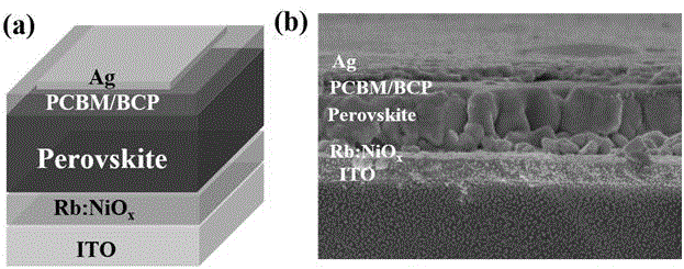 一种铷掺杂氧化镍薄膜的制备及作为空穴传输层在钙钛矿太阳能电池中的应用的制作方法
