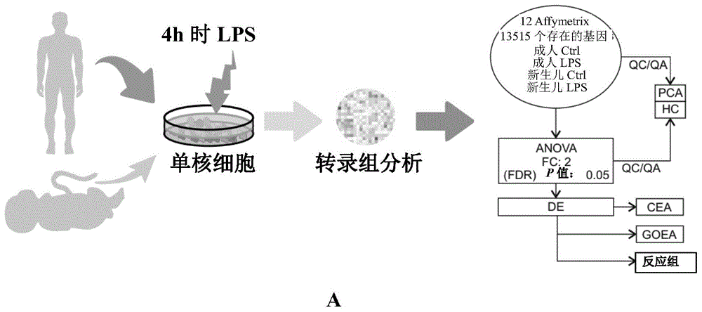 新生儿受试者中S100A8/S100A9诱导的免疫耐受的制作方法