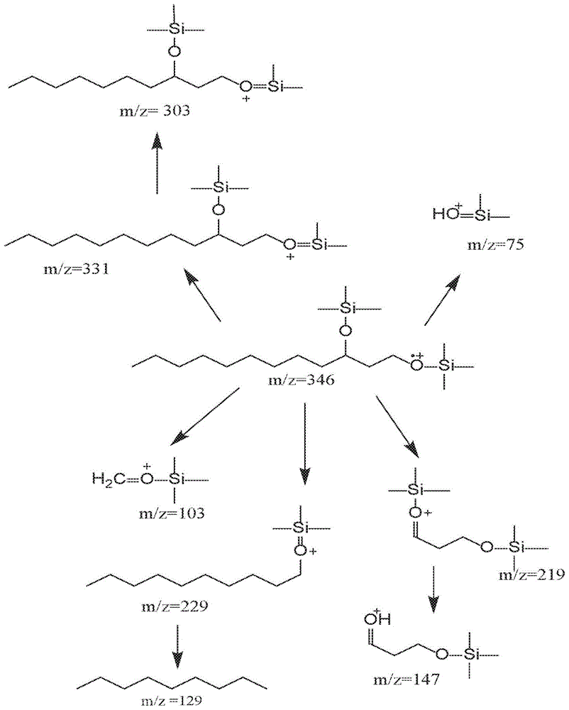 1,3-脂肪二醇化合物和其衍生物的制作方法