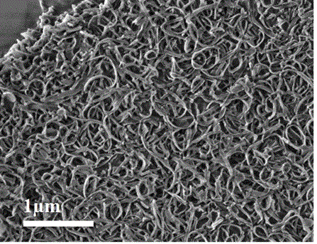 介孔氧化硅纳米带材料及其制备方法与流程