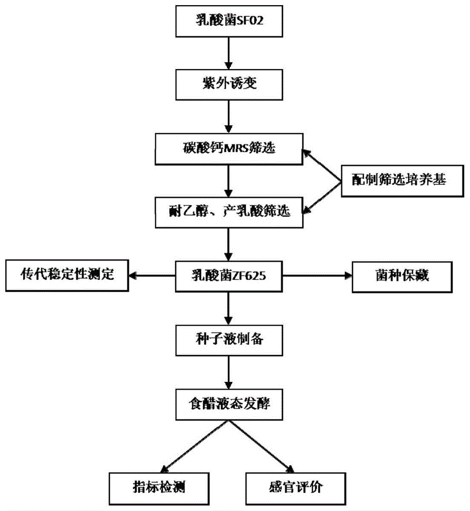 一株乳酸乳球菌ZF625及其应用的制作方法