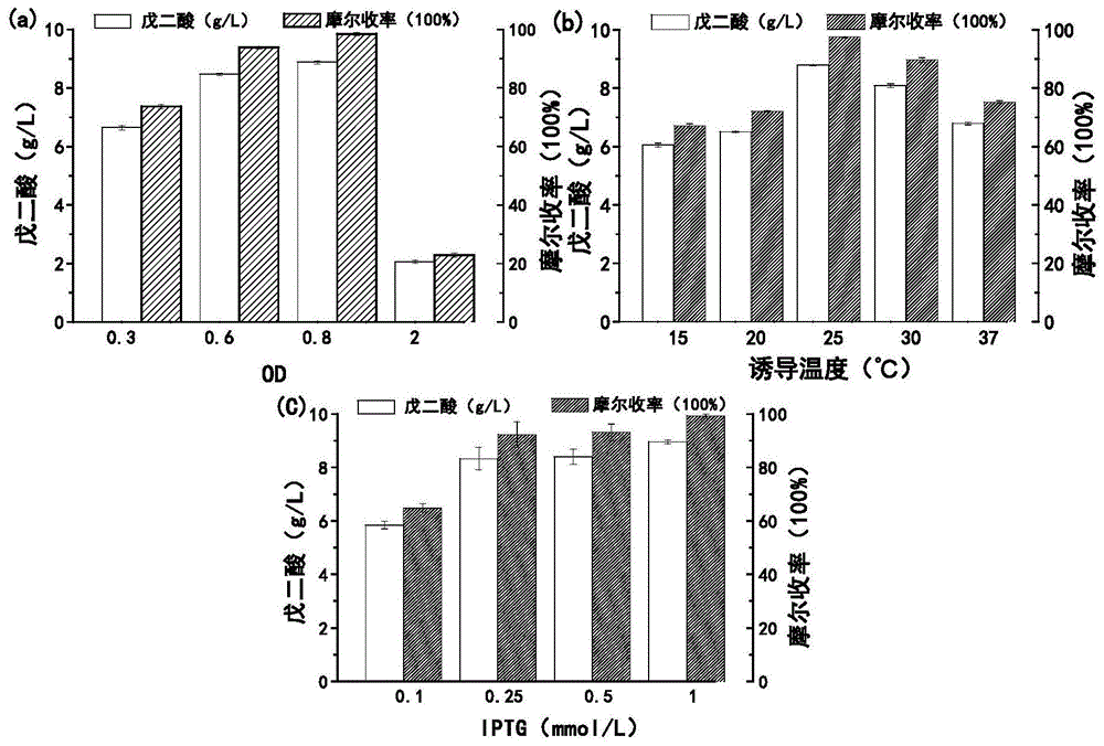 利用大肠杆菌表达DavA、DavB、GabD、GabT和LGOX产戊二酸的方法与流程