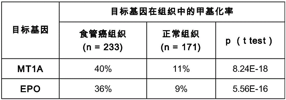 用于检测食道癌的组合物及其用途的制作方法