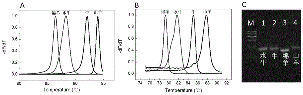 鉴别动物源性成分的多重荧光PCR方法及试剂盒与流程