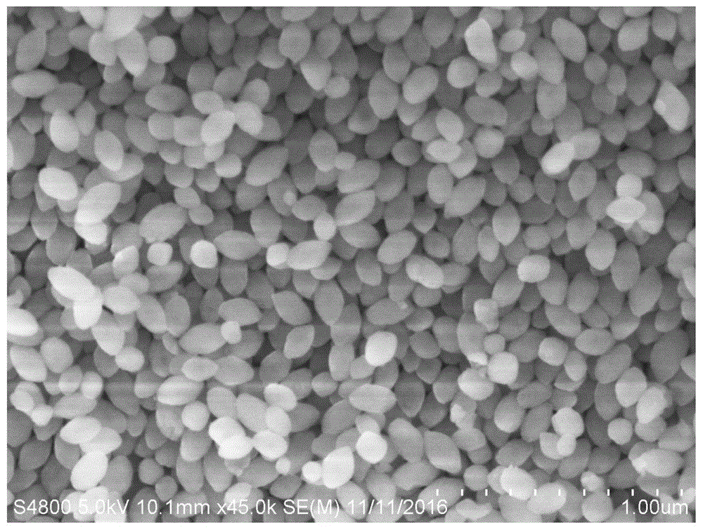 一种掺杂磷酸钛钠微孔纳米晶电解质及其制备方法和应用与流程