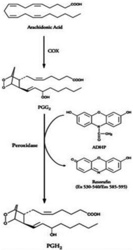 一种基于抑制COX-2活性的中药组合物检测方法与流程