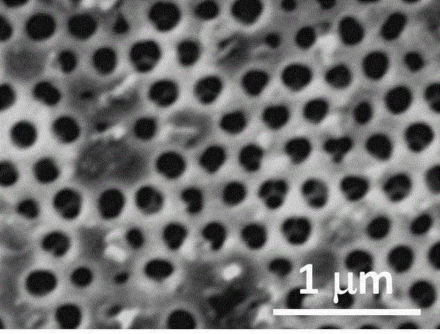 一种光子带隙可调型聚乙烯亚胺功能化光子晶体薄膜的制备的制作方法