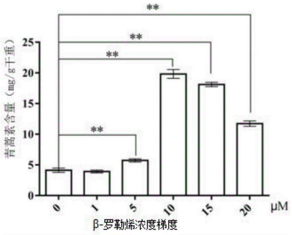 一种利用β-罗勒烯提高黄花蒿中青蒿素产量的方法与流程