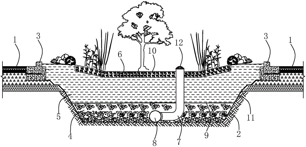 一种绿化带生态排水结构的制作方法