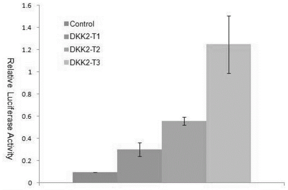 一种pX335-xCas9n载体及其构建方法和应用与流程