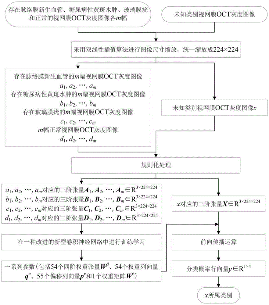 基于卷积神经网络的视网膜OCT异常图像分类方法与流程