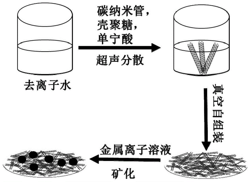 一种超亲水碳纳米管纳米多孔膜的制备方法与流程